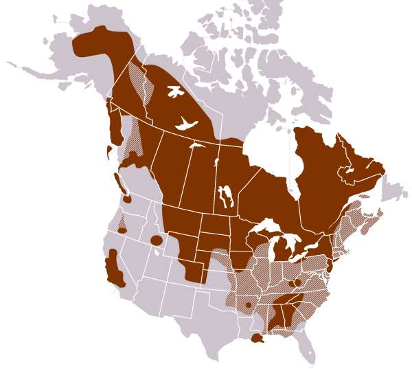 Approximate distribution of Earth-Diver traditions in North America north of Mexico